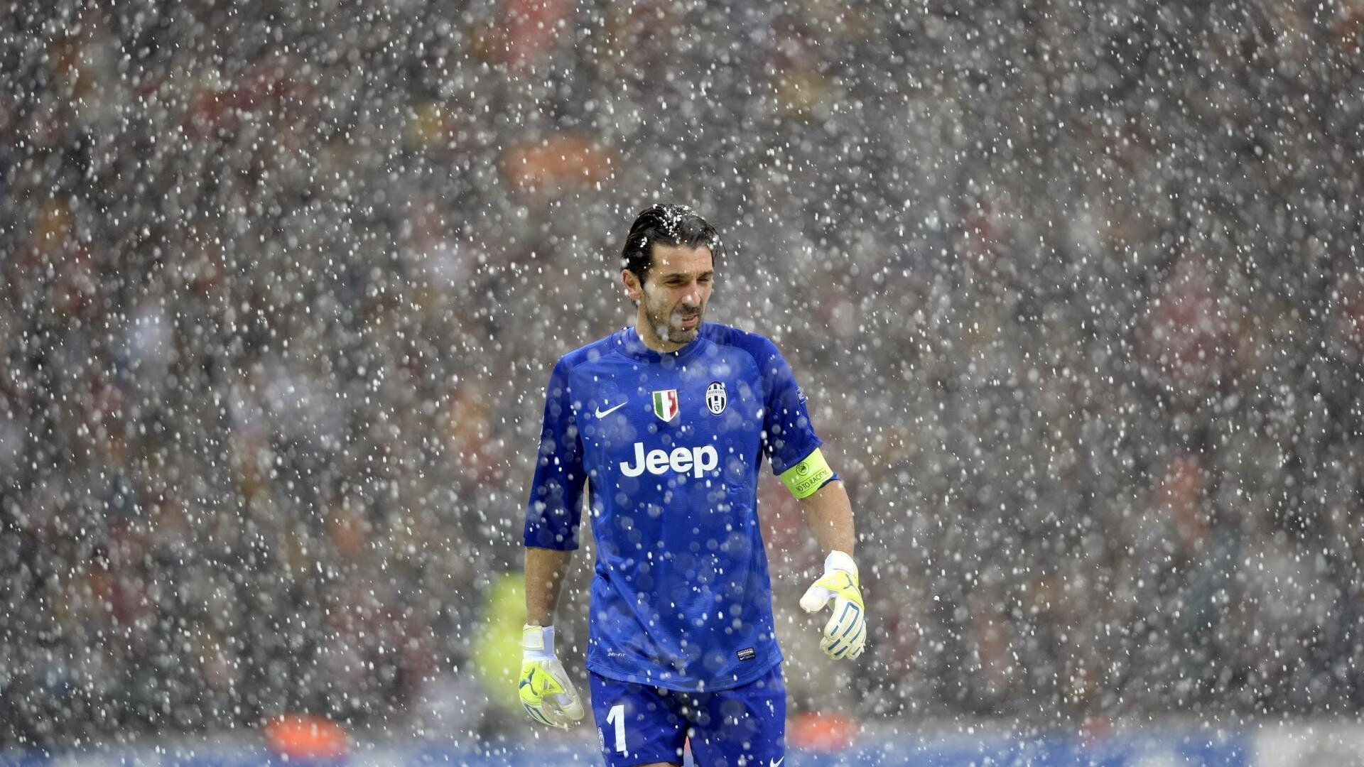 南非青训系统逐步完善，全球橄榄球选手新摇篮，南非橄榄球队员