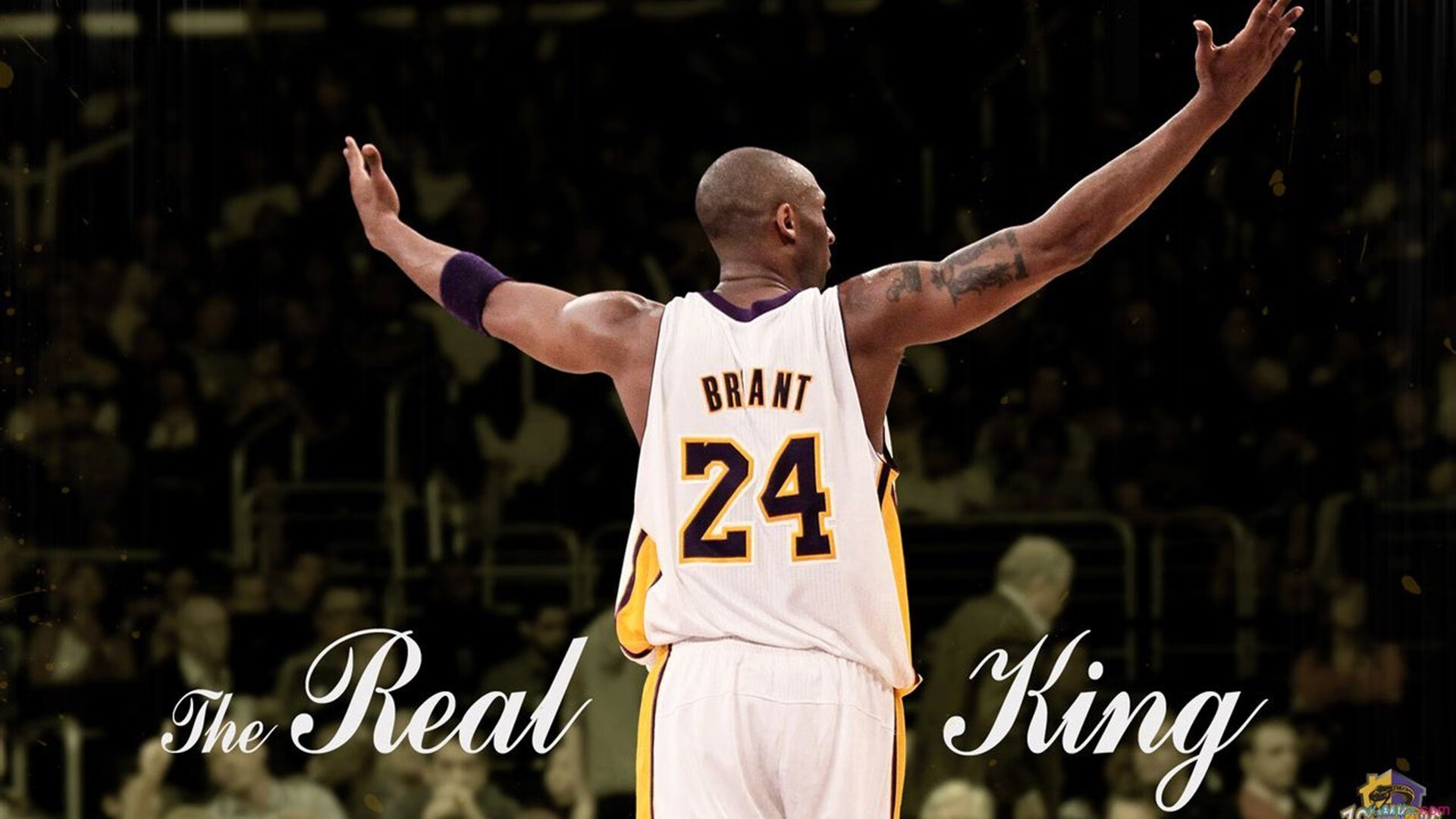 拼搏让中国篮球更加耀眼，篮球拼搏作文